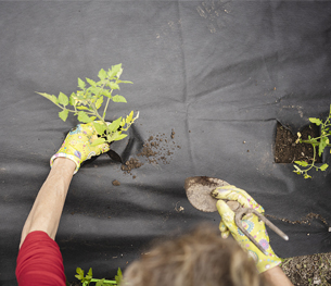 防草布（透水无纺布）