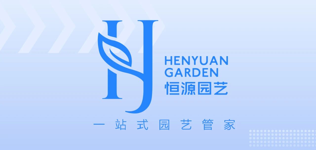 考察学习拓视野 交流探讨取“真经”