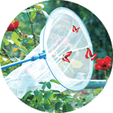 Elastic Insect Catcher Net