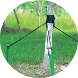 Tree Stake Kit