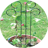 Wire Flower Trellis