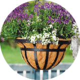 Hanging Grower Basket